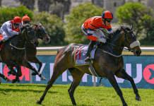 Sesame to plant the seed