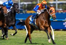 Randwick Guineas & Canterbury Stakes Preview