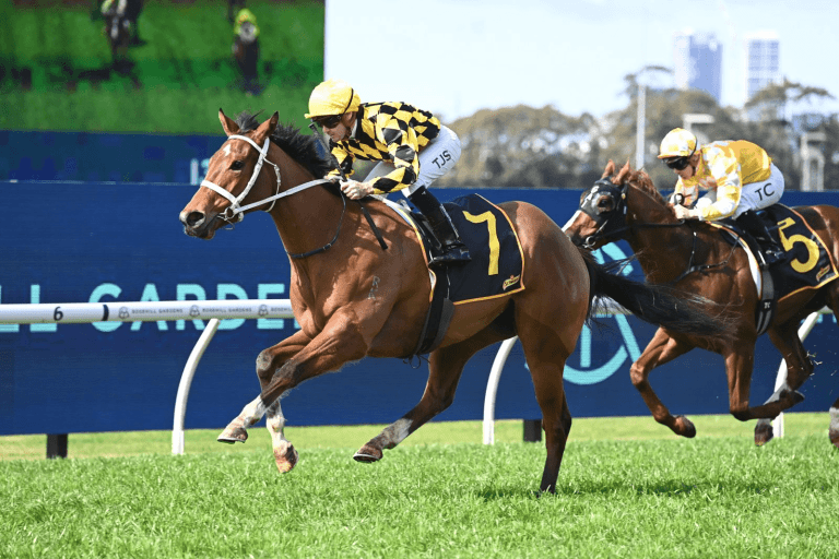 AutumnGlow170824-3960