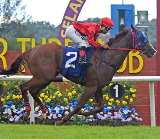 Banker’s Two Six Leads Competitive Meru Valley Resort Derby Field