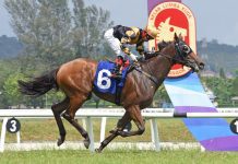 “赤宝飞马”连胜在望