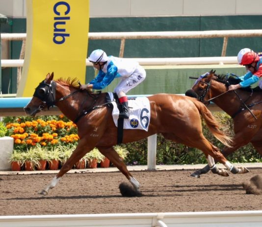 “金玉良言”如日中天