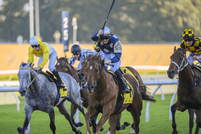 Jimmystarr will be looking to bounce back in The TJ Smith
Image: Sky Racing