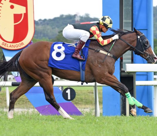 “王者之王”轻磅争雄