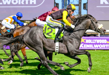 Teflon Man to stick them away in Easter Sprint