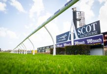 $5 Million BYD Quokka Preview