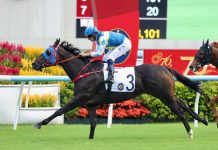 “表之极光”扭转局势