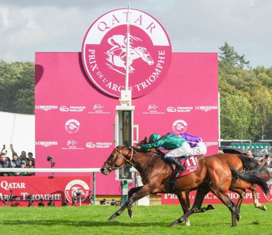 Daryz Leads Arc Contenders As Field Takes Shape