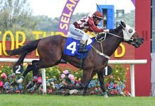 “东营军”越战越勇