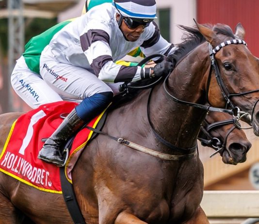 JP Can Hammer It Home