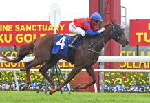 “纳瓦拉”连胜可期