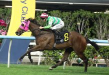 “彩虹七色”再创佳绩