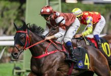 “俏眼光”乘胜追击