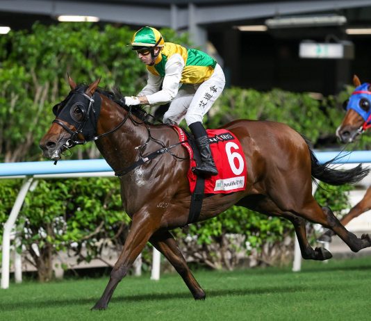 “勇霸龙”降班争胜