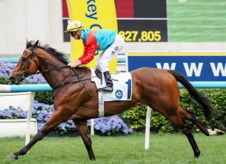 Ka Ying Rising aims to extend streak as Romantic Warrior faces Masquerade Ball, Royal Champion among world-class FWD Champions Day selected runners