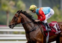 Hong Kong champion Ka Ying Rising again tops LONGINES World’s Best Racehorse Rankings after record-breaking April