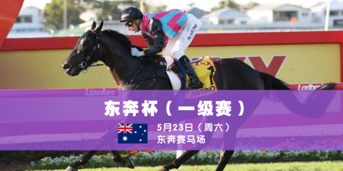 DoombenCup for website news C