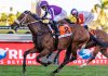 Star Major to shine again