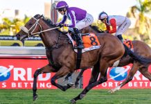 Star Major to shine again