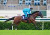Rousham Park targets first G1 victory on fifth overseas campaign