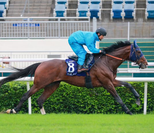 Rousham Park targets first G1 victory on fifth overseas campaign