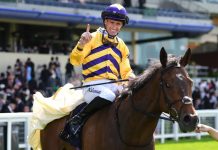 Goldie relishing American Affair’s Royal Ascot return