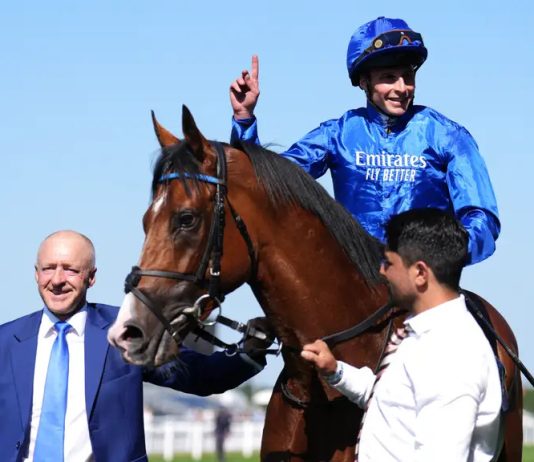 Ombudsman and Daryz poised for Prince of Wales’s clash