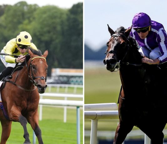 Boughey upbeat on Bow Echo with huge rematch all set