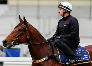 Joliestar part of international contingent at Ascot on Saturday