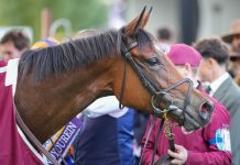 French fillies face stiff Diane test Diamond Necklace