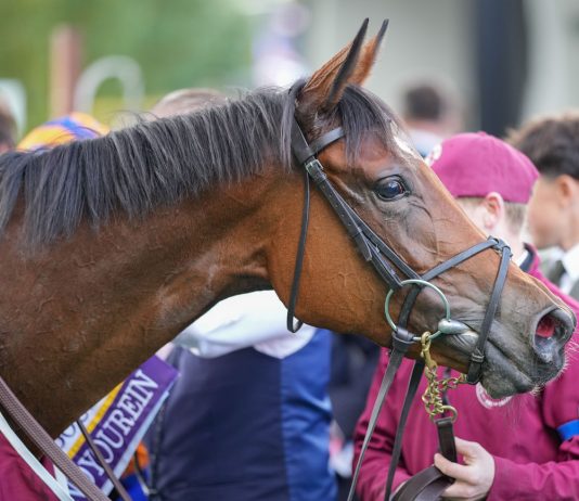 French fillies face stiff Diane test Diamond Necklace