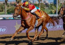 Magical Sky is a poly specialist