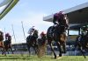 G1 JJ Atkins & G1 Stradbroke Preview