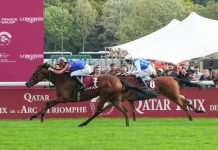 Prix de Diane (French Oaks) Preview