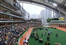 Sha Tin Track Spy: Sunday, 21 June