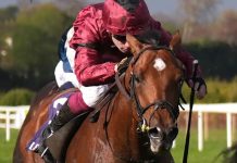 Donnacha O’Brien under no illusions of task facing A Boy Named Susie in Eclipse