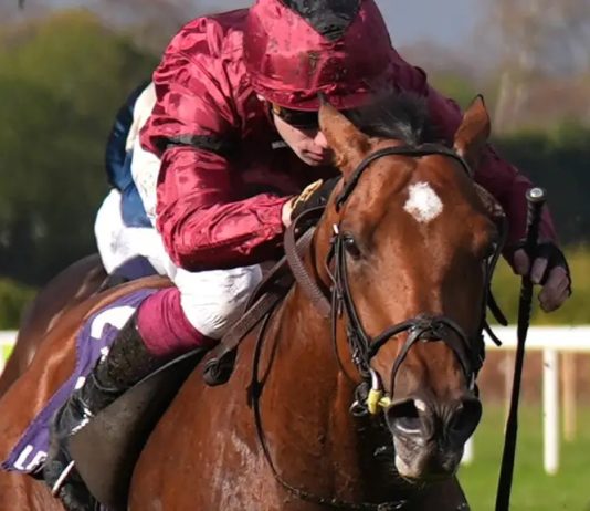 Donnacha O’Brien under no illusions of task facing A Boy Named Susie in Eclipse