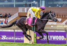 Buddy Boy is the punters friend