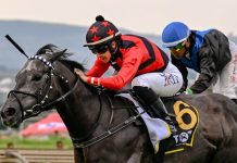 ‘Love’ can see punters home