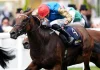 Classic Glory Awaits in the Irish Oaks