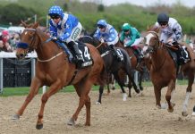 Heavenly Heather out to cause Nunthorpe surprise for Waggott