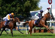 Zavateri ready for City of York test