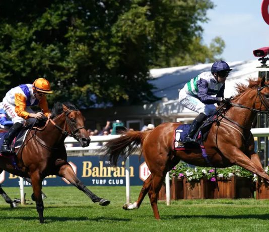 Zavateri ready for City of York test