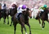 All eyes focused on super Sunday at Deauville