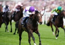 All eyes focused on super Sunday at Deauville