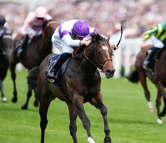 All eyes focused on super Sunday at Deauville
