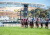 The stage is set for the Belmont Newmarket