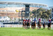The stage is set for the Belmont Newmarket