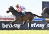 Bjorn Ironside Comes Back Fighting in 2026 Spring Spree Stakes