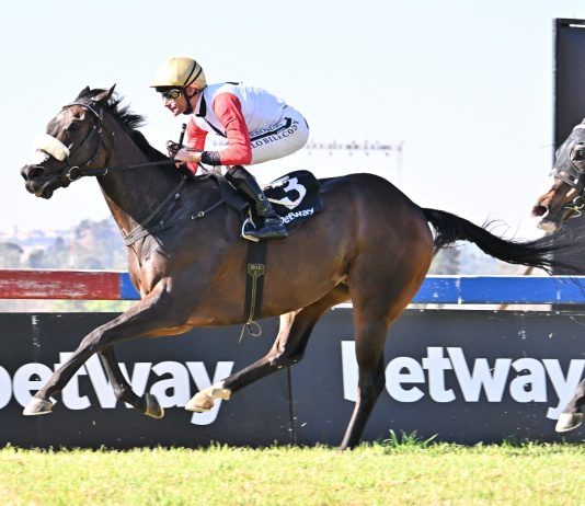 Bjorn Ironside Comes Back Fighting in 2026 Spring Spree Stakes
